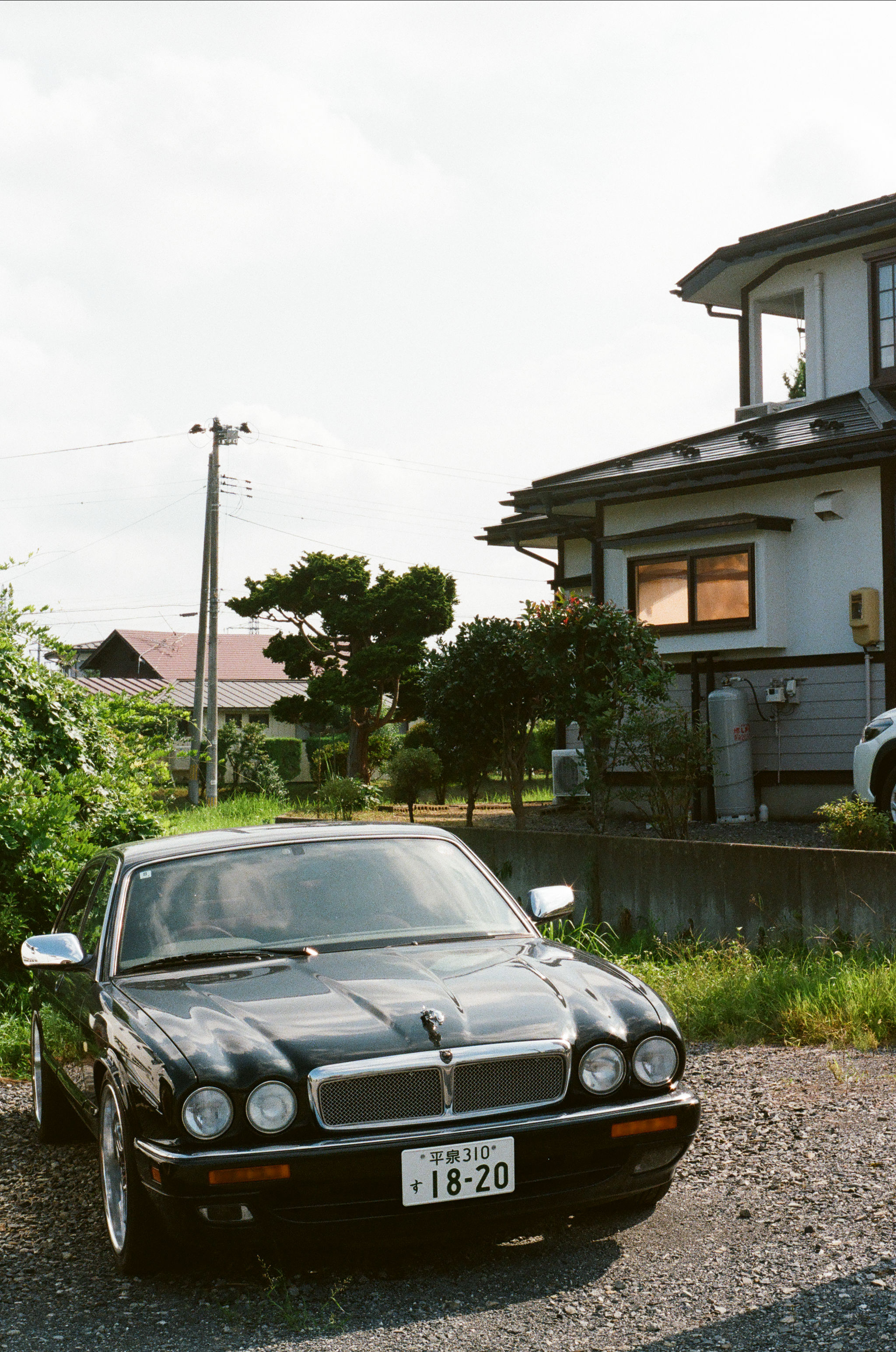 Japan 2026, photograph 1