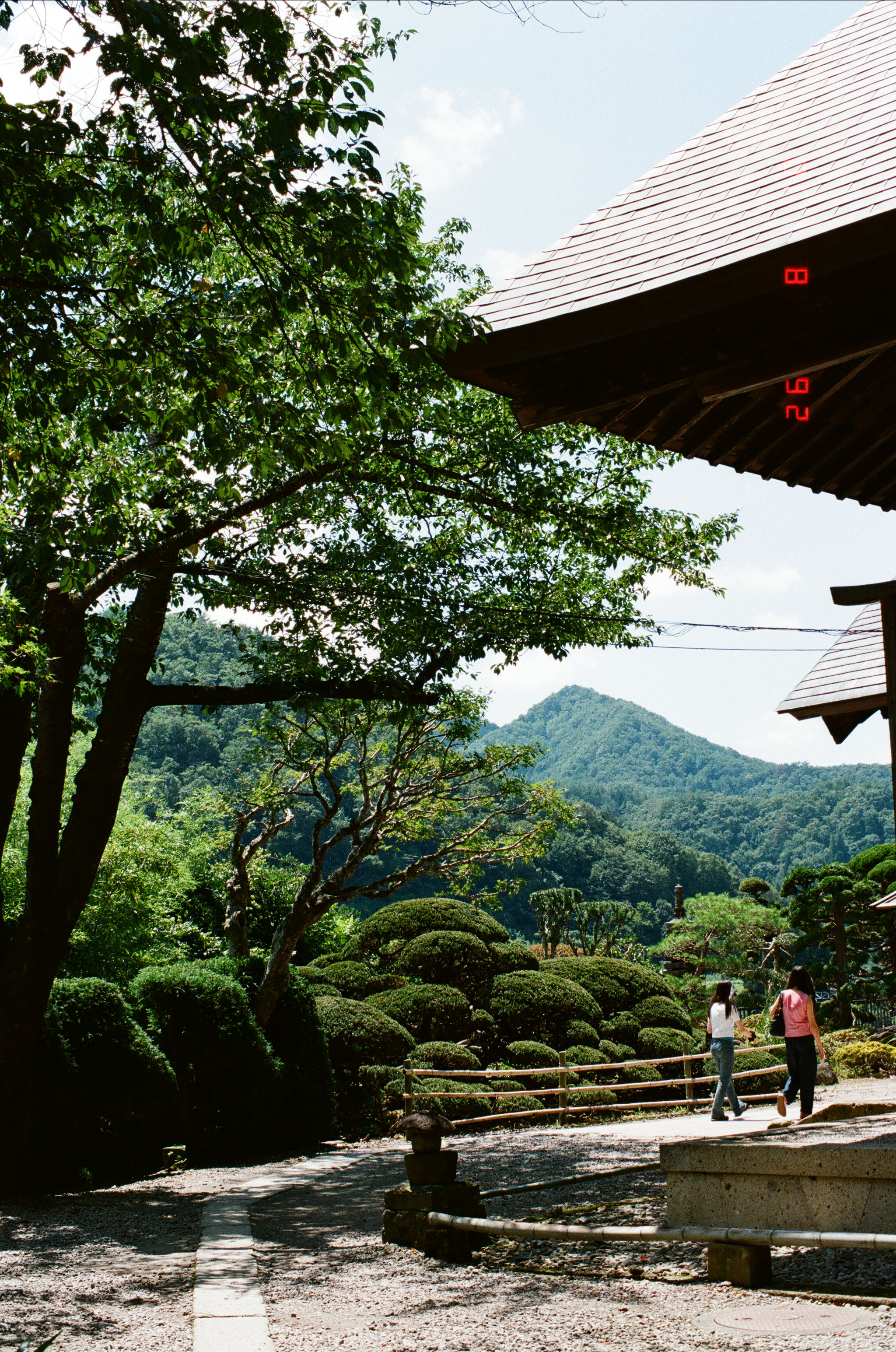 Japan 2026, photograph 2