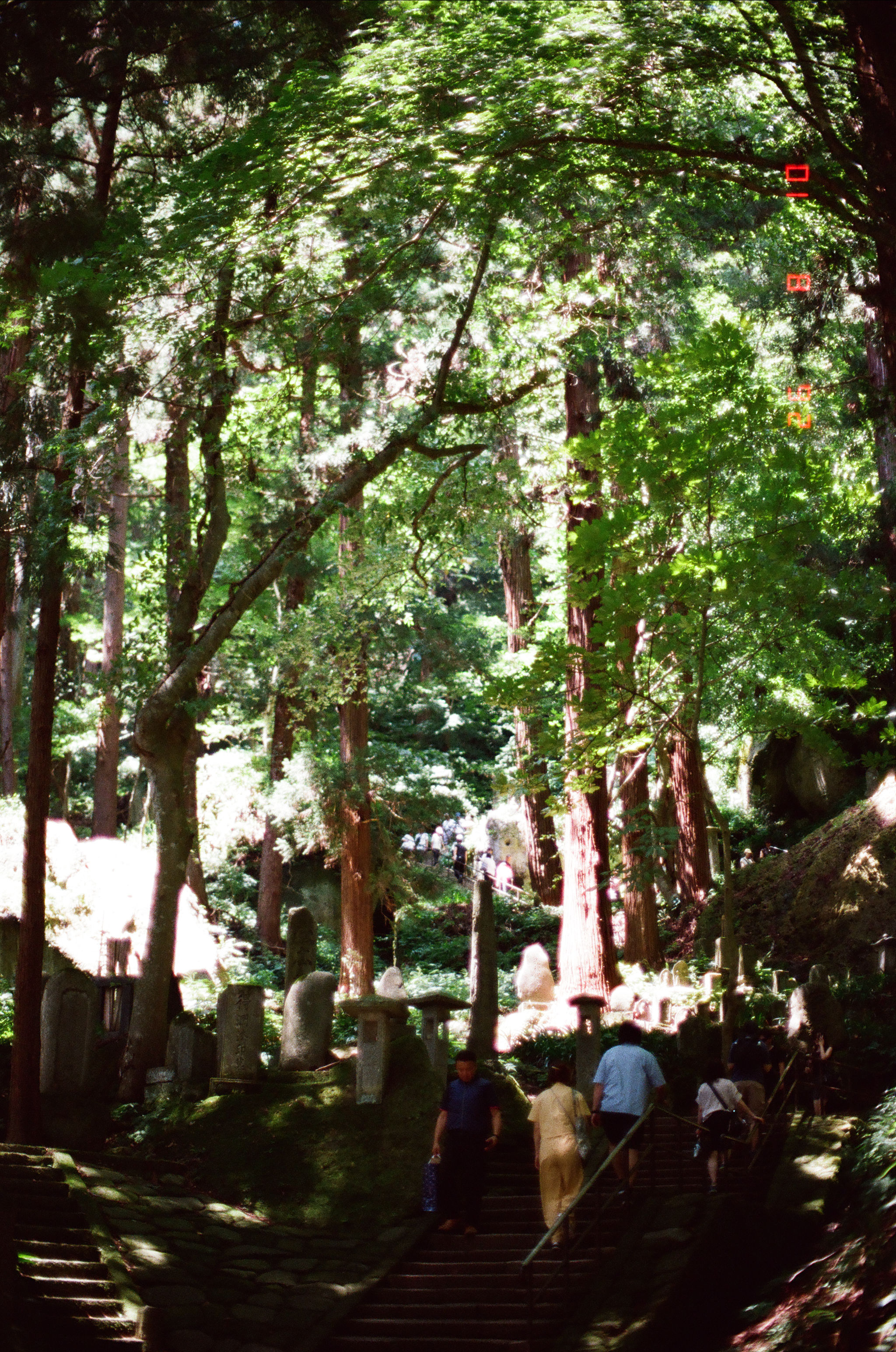 Japan 2026, photograph 3