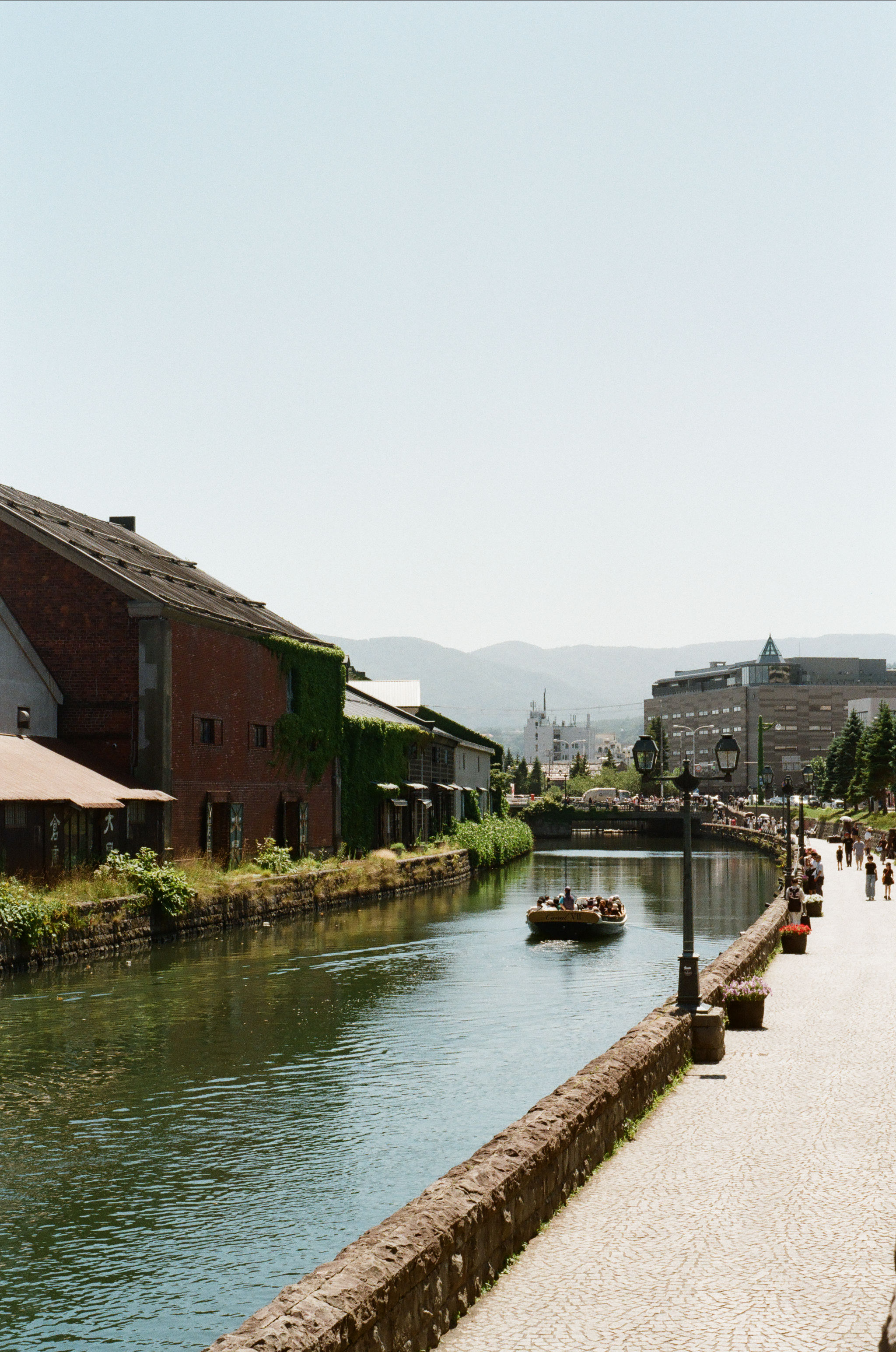 Japan 2026, photograph 5