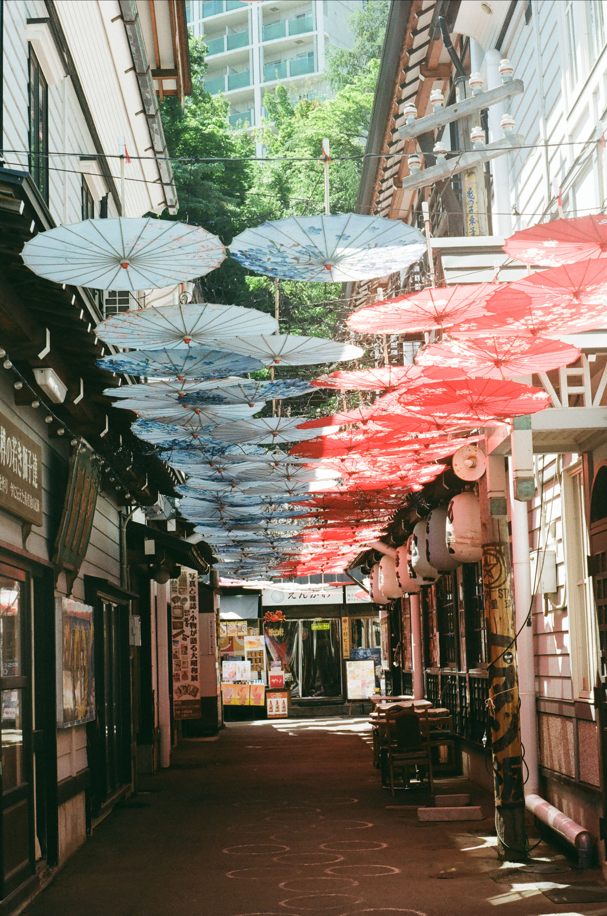 Japan 2026, photograph 6