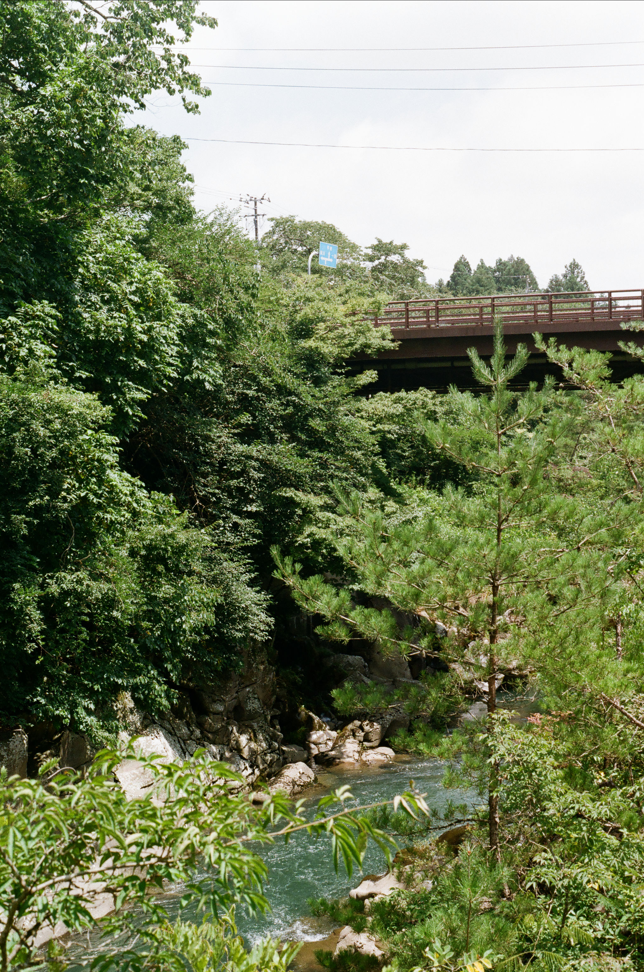 Japan 2026, photograph 14