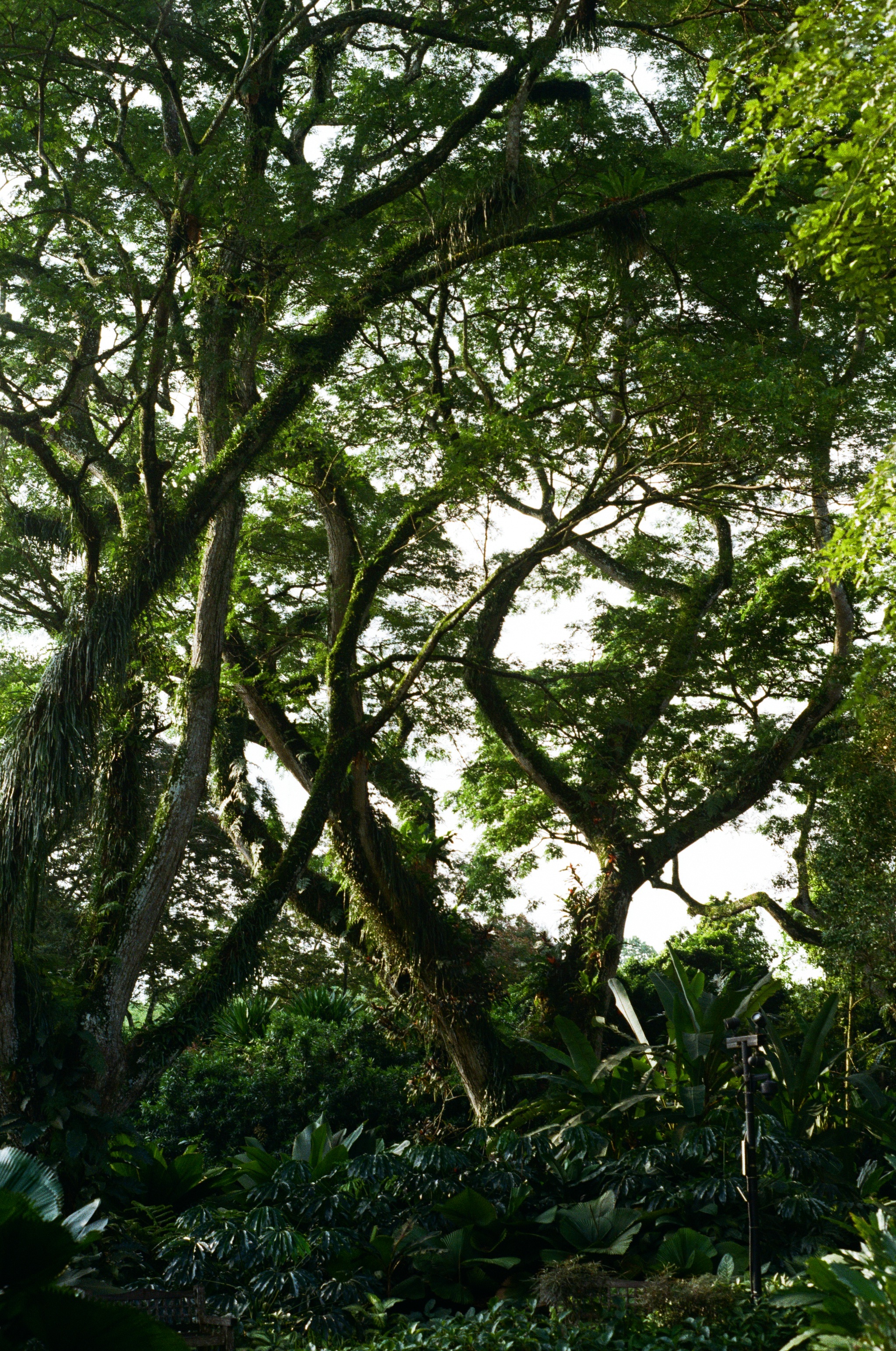 Singapore 2026, photograph 1