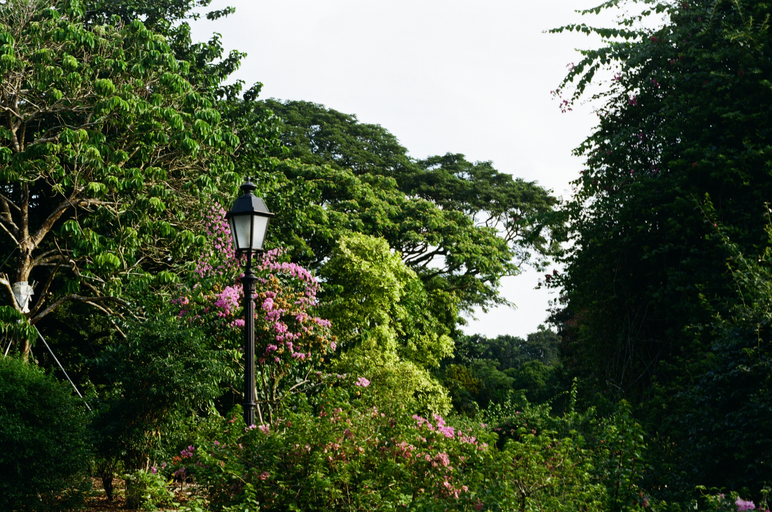 Singapore 2026, photograph 2