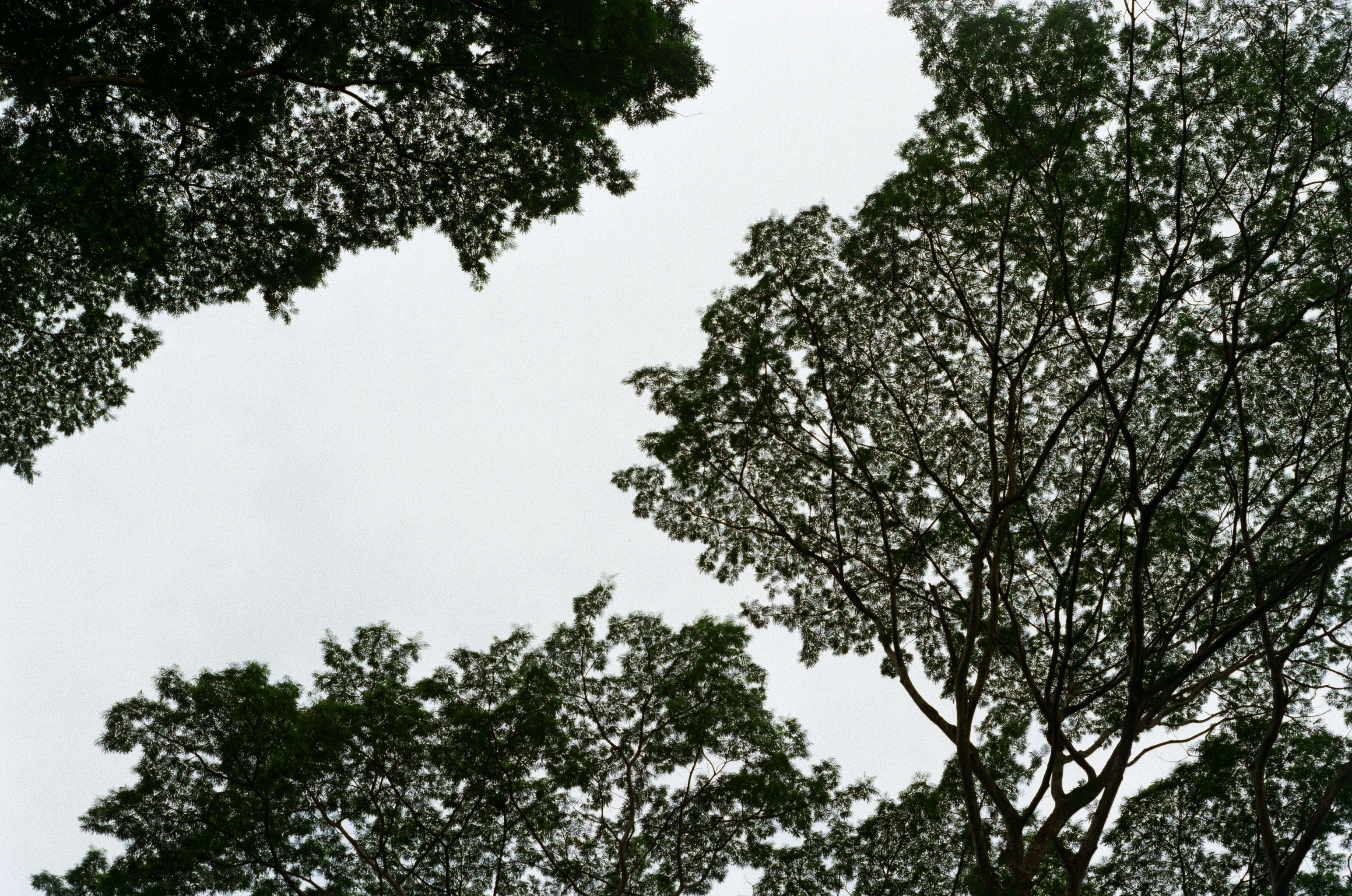 Singapore 2026, photograph 3